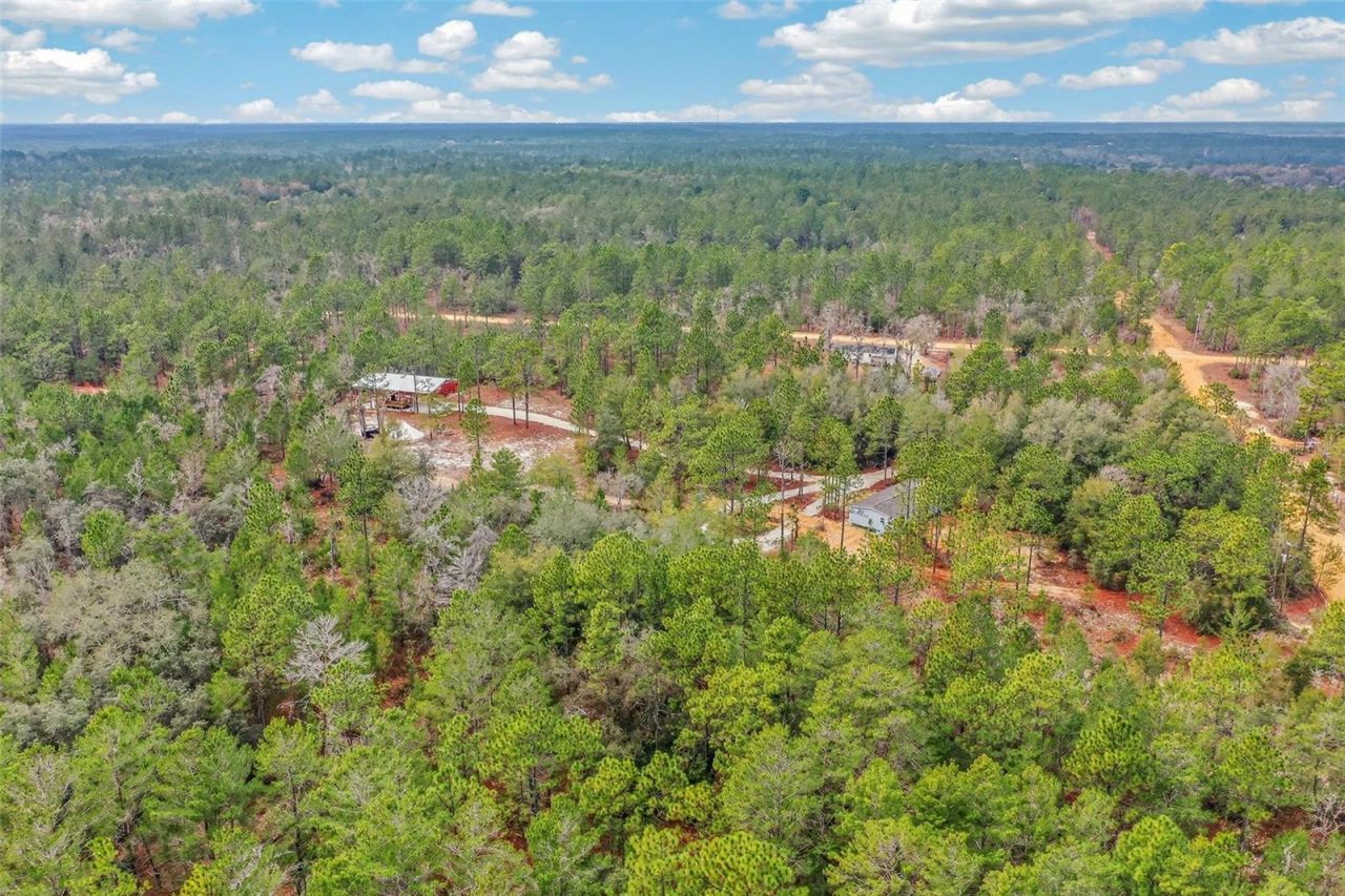 419 Lily Trail, Interlachen, FL 32148 Photo