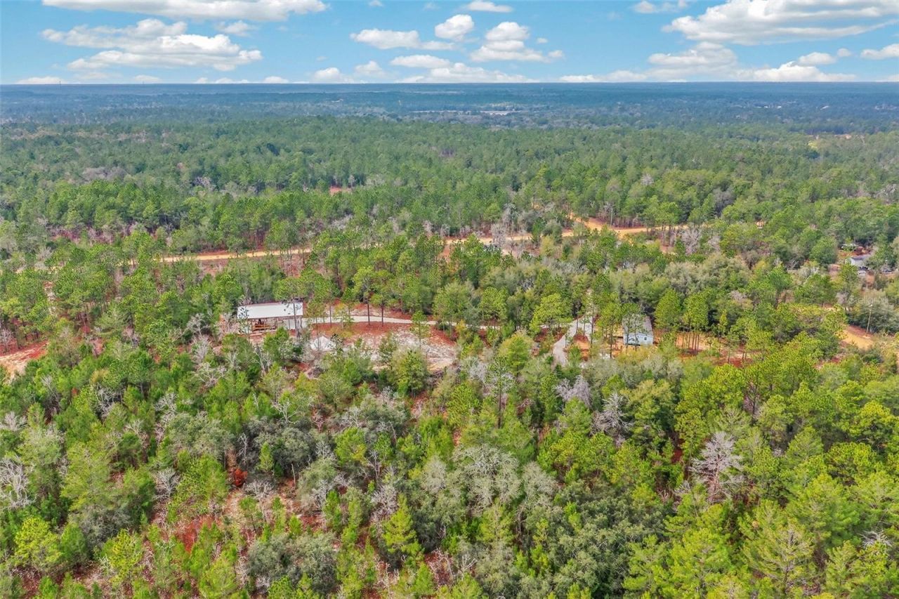 419 Lily Trail, Interlachen, FL 32148 Photo