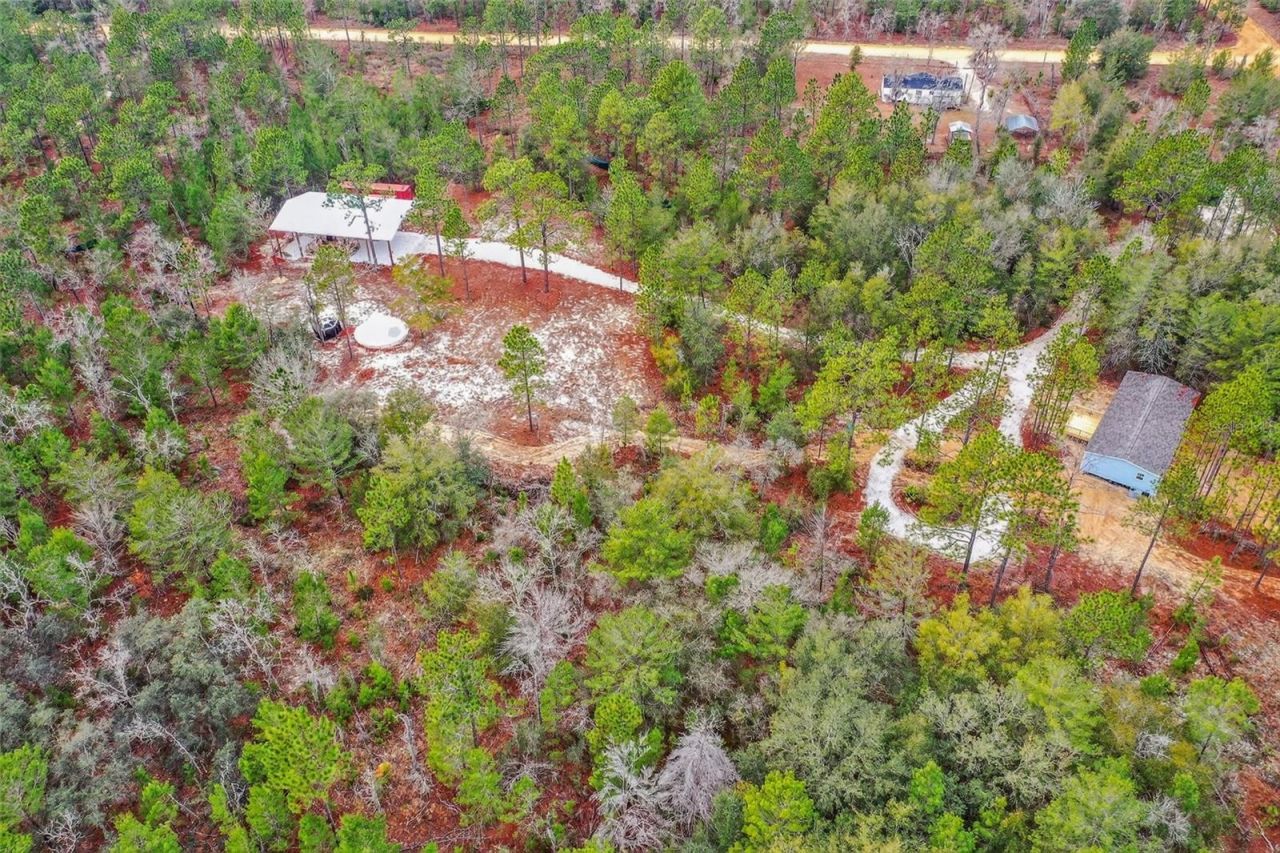 419 Lily Trail, Interlachen, FL 32148 Photo