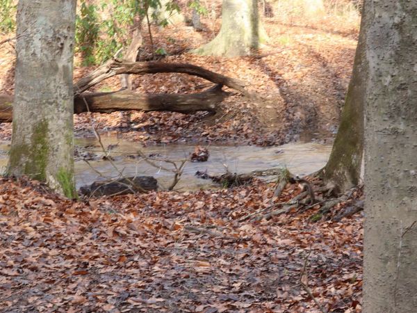 TBD Big Hill Road, Mooresburg, TN 37811