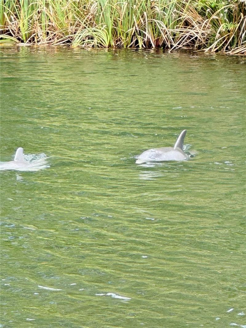 7266 Tropical Drive, Weeki Wachee, FL 34607 Photo