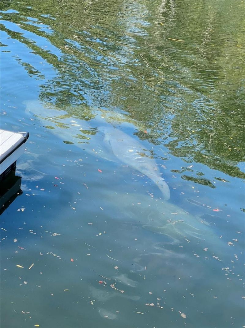 7266 Tropical Drive, Weeki Wachee, FL 34607 Photo