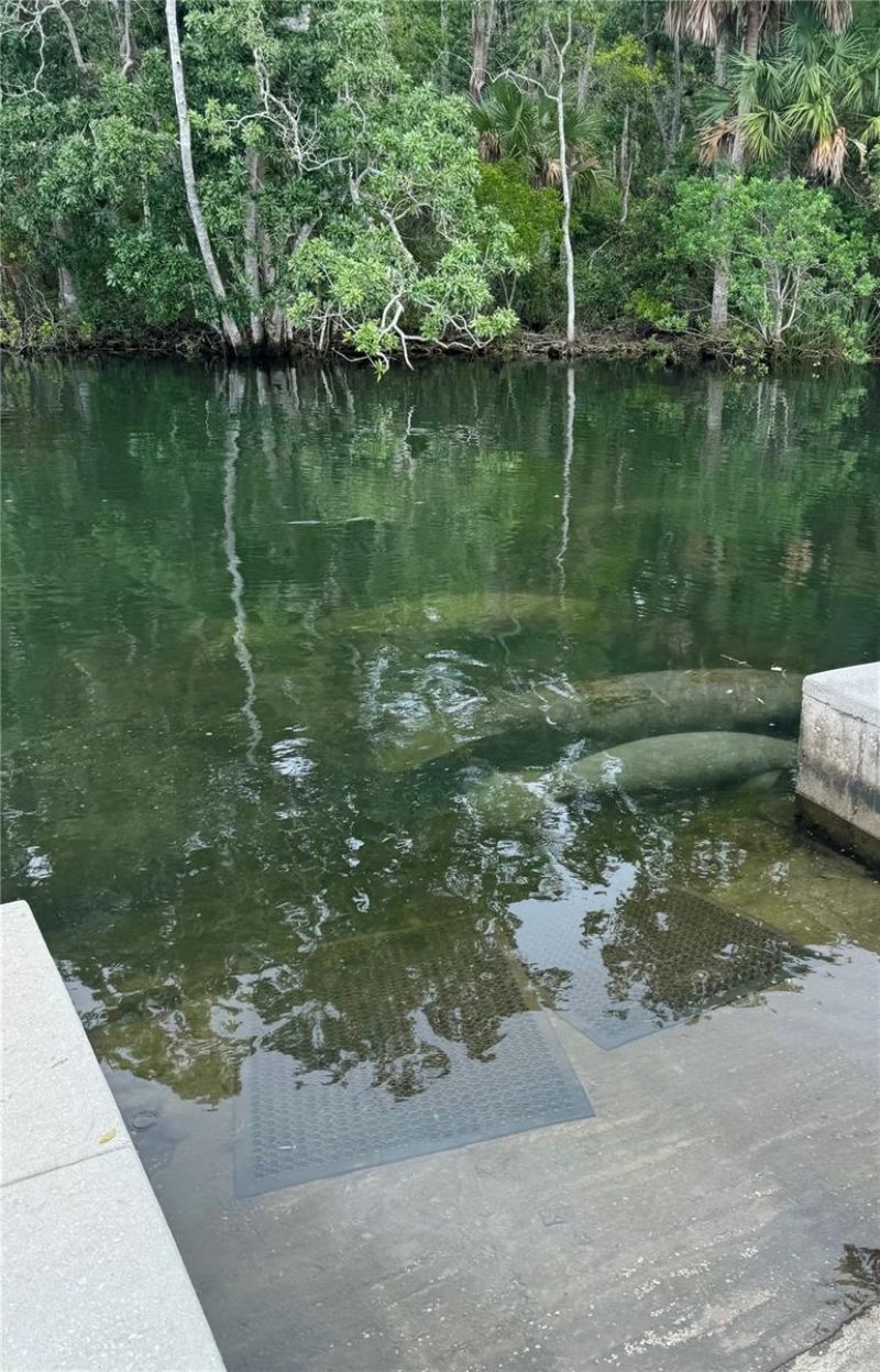 7266 Tropical Drive, Weeki Wachee, FL 34607 Photo