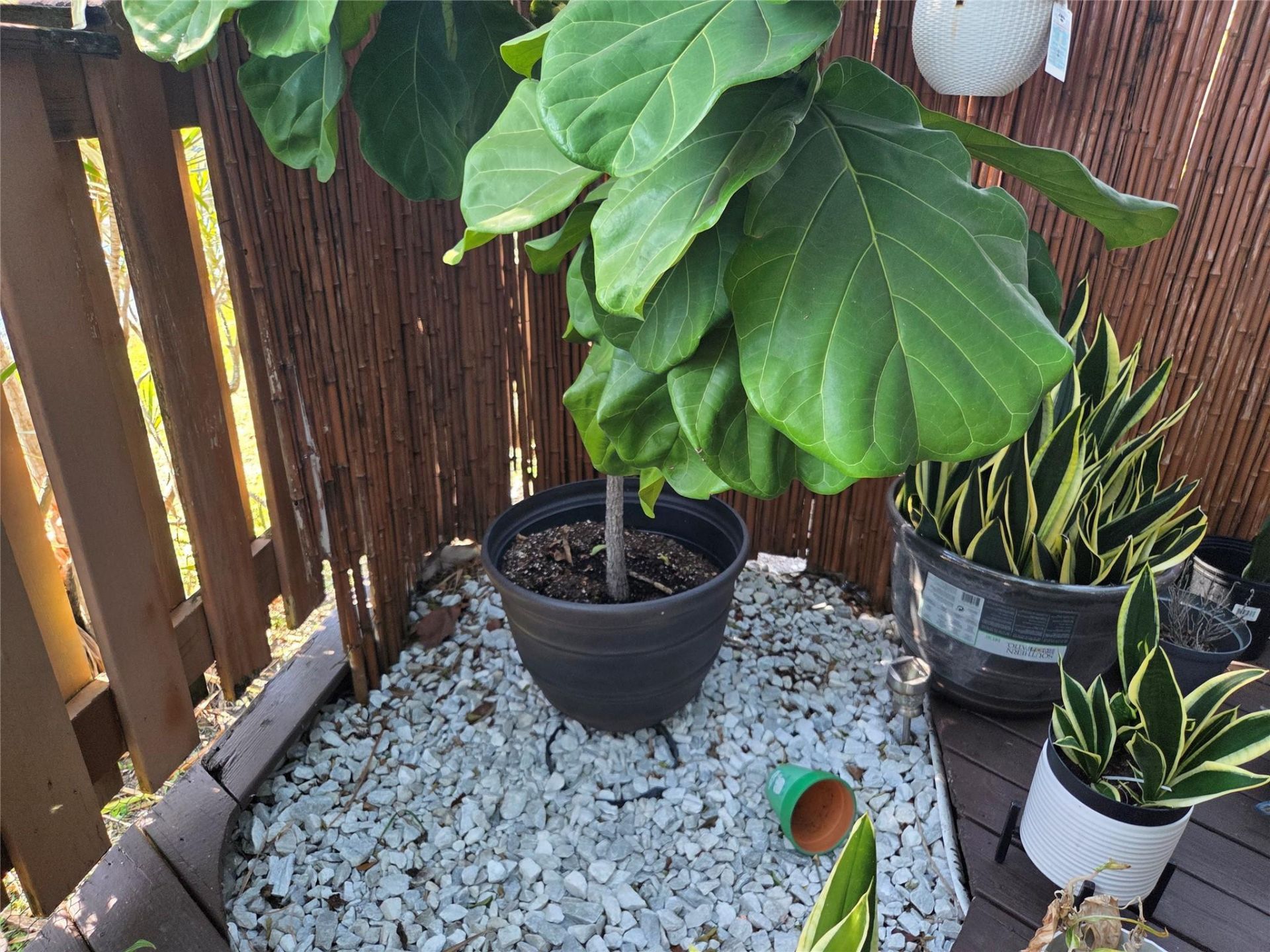 6014 NW 3rd Street, Unit 6014, Margate, FL 33063 Photo