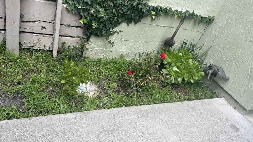 24158 24158 Dover Lane, Hayward, CA 94541 Main Photo