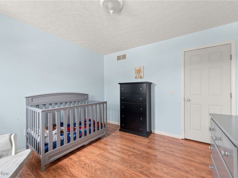 7278 Honey Shade Court, Chippewa Lake, OH 44215 Photo 21