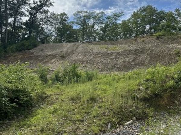 33 Walsh Ave, Auburn, MA 01501