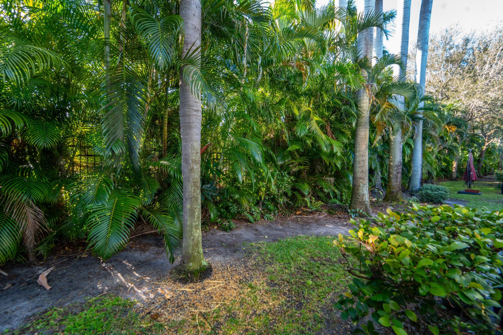 3635 Sonoma Drive Drive, Riviera Beach, FL 33404 Photo