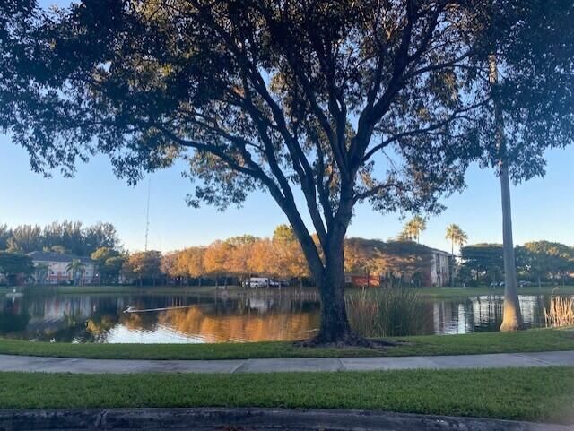 4167 N Haverhill Road, Unit 1107, West Palm Beach, FL 33417 Photo