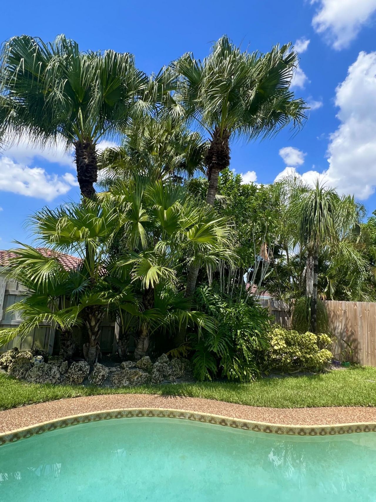 3421 NW 25th Terrace, Boca Raton, FL 33434 Photo