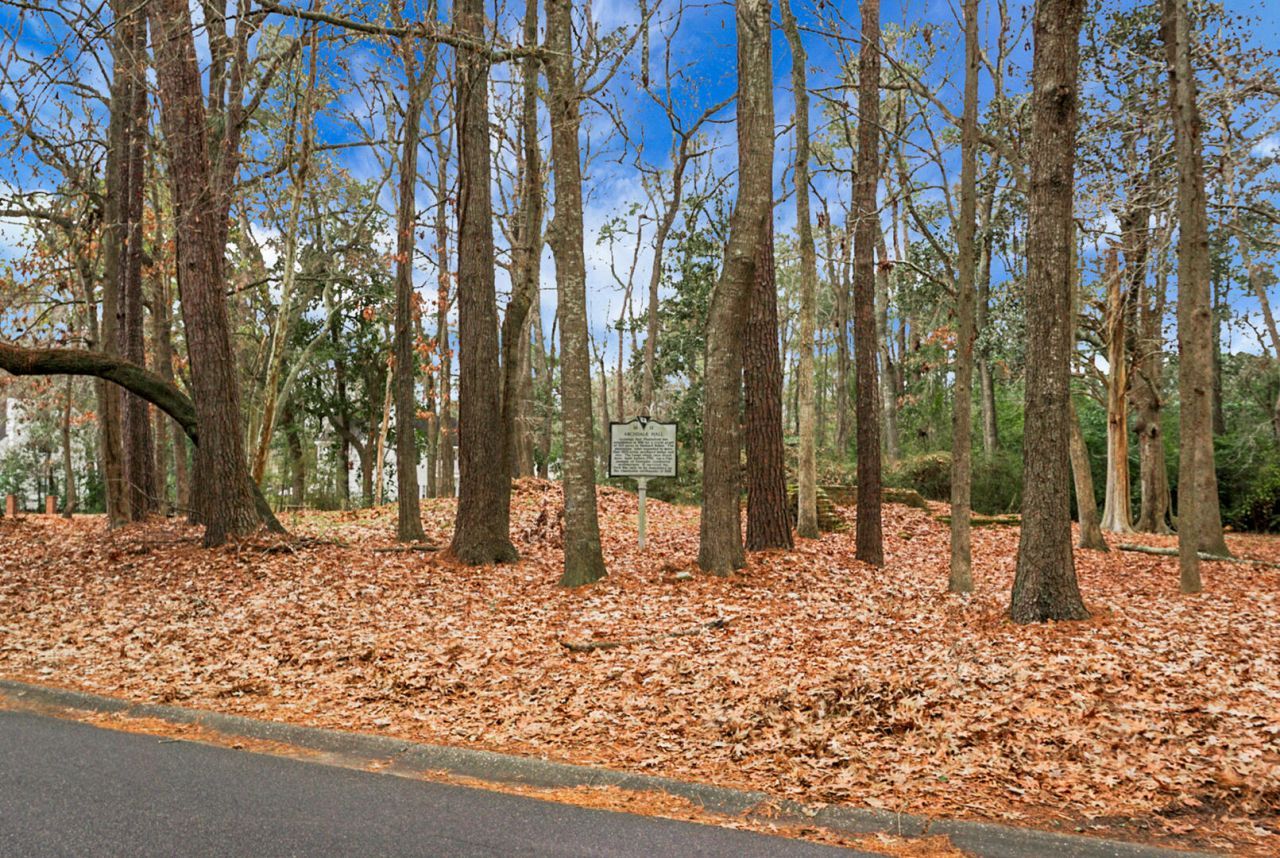 235 Knightsbridge Drive Photo 57