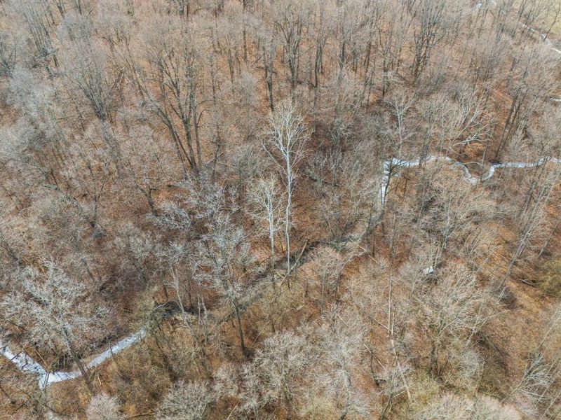 10999 Morrison Mikesell Road, New Paris, OH 45347 Photo 10