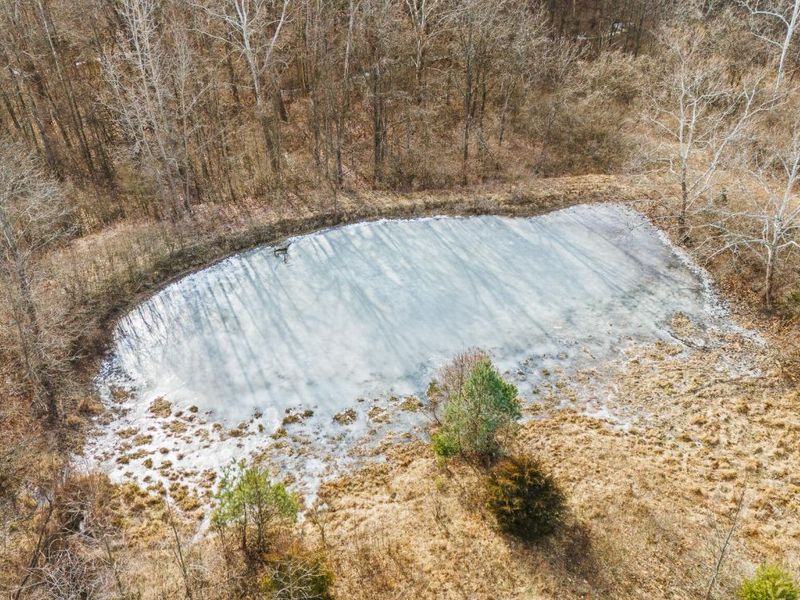 10999 Morrison Mikesell Road, New Paris, OH 45347 Photo 19