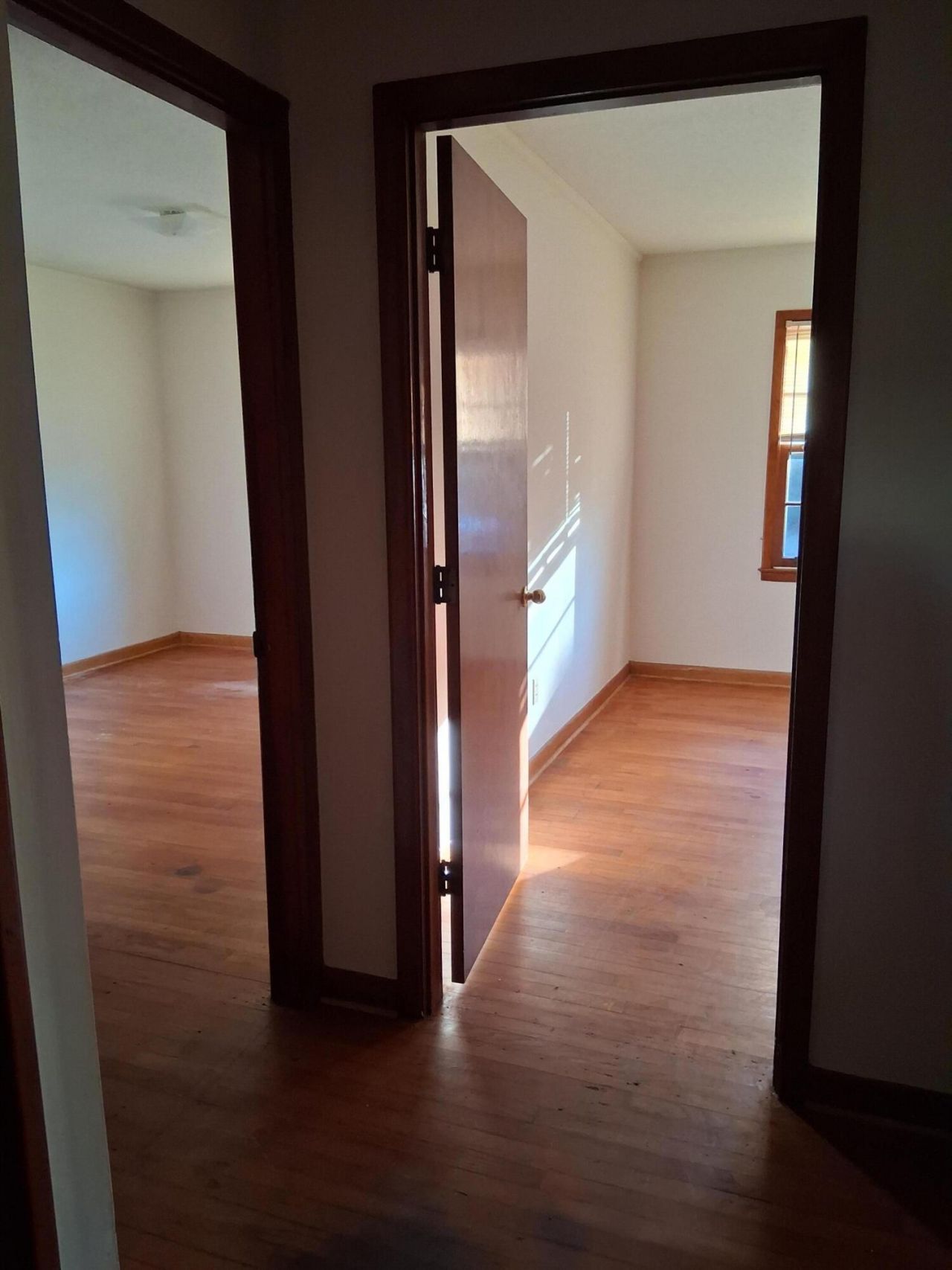 70 Cummings Court Photo 34