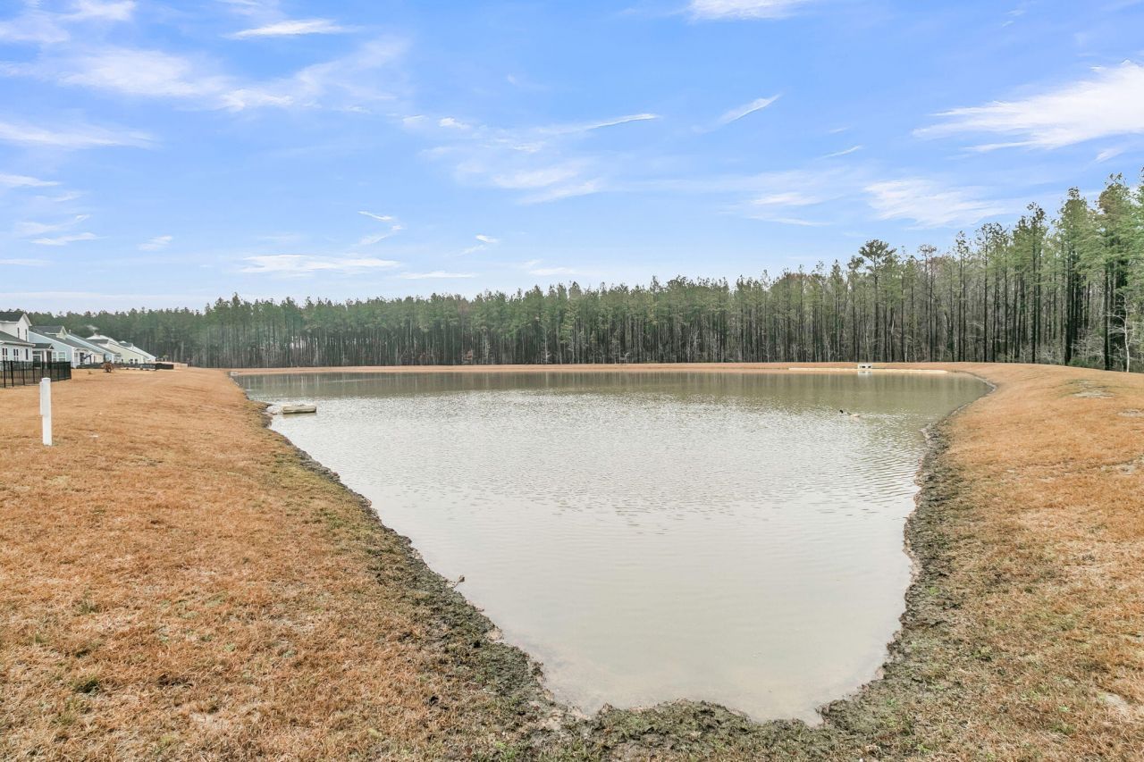 245 Summer Tanager Drive Photo 53