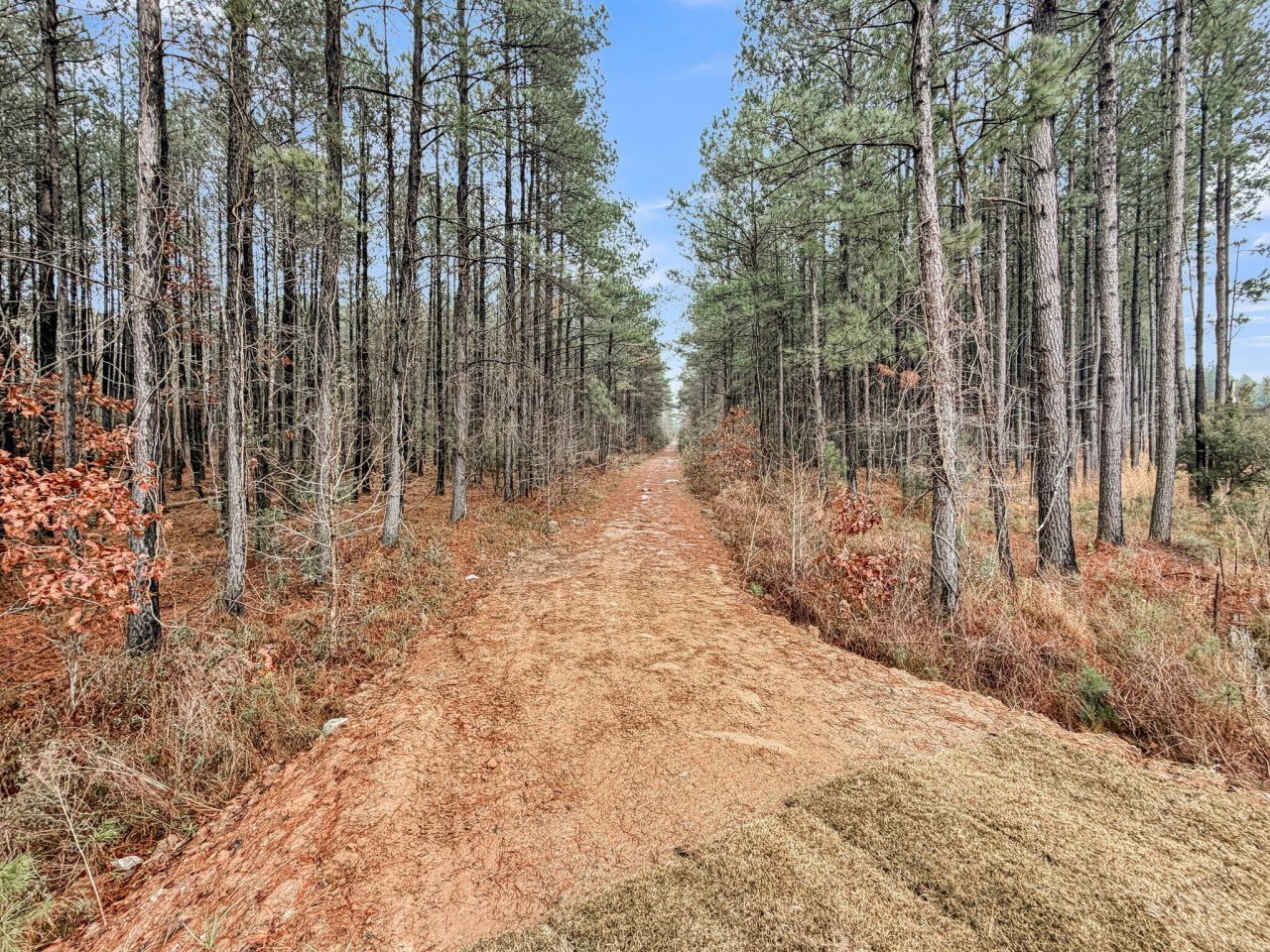 245 Summer Tanager Drive Photo 65