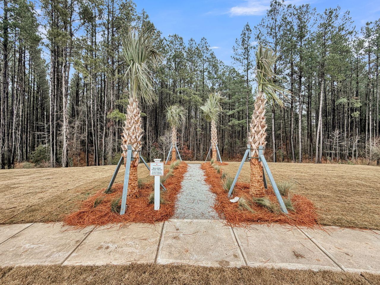 245 Summer Tanager Drive Photo 66