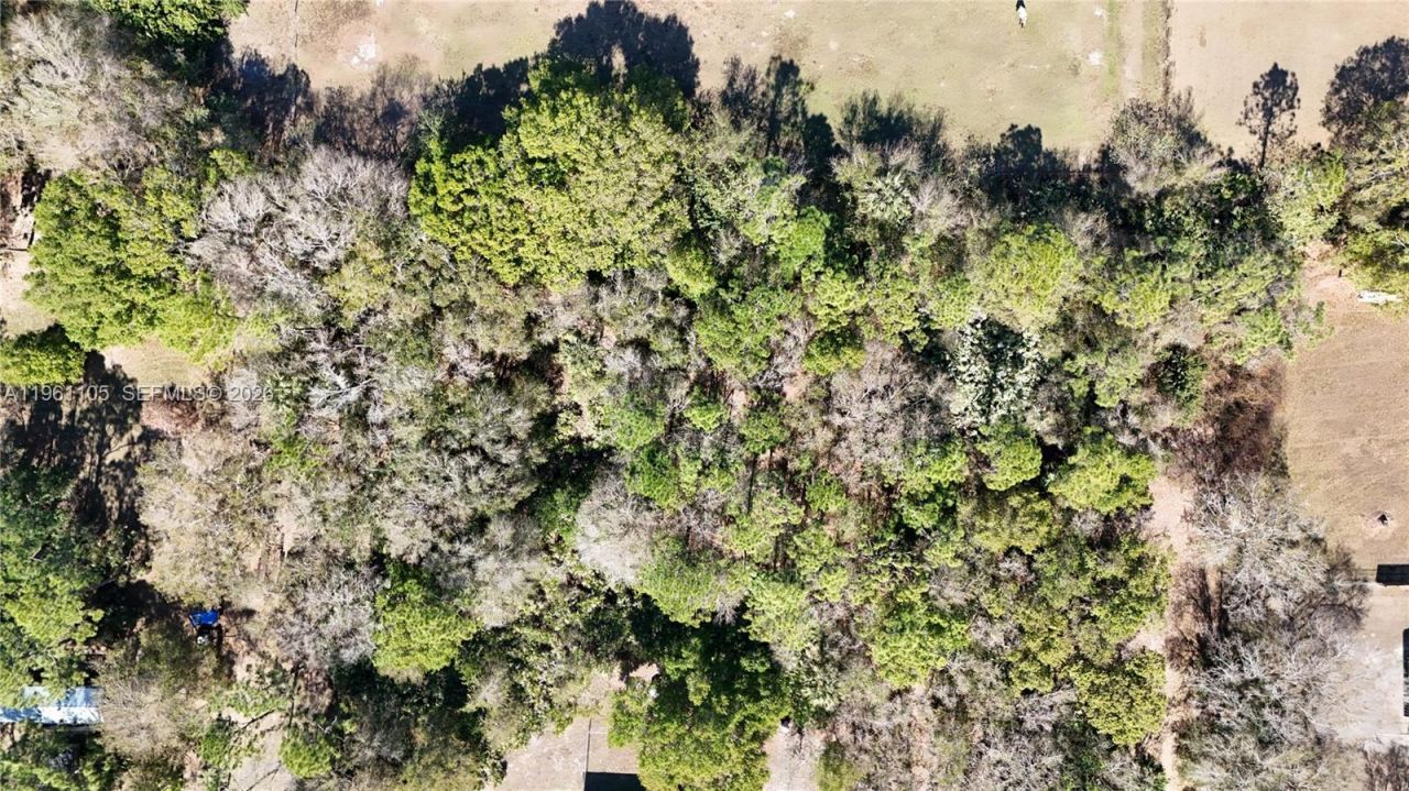 448 NW 34th St, Okeechobee, FL 34972 Photo