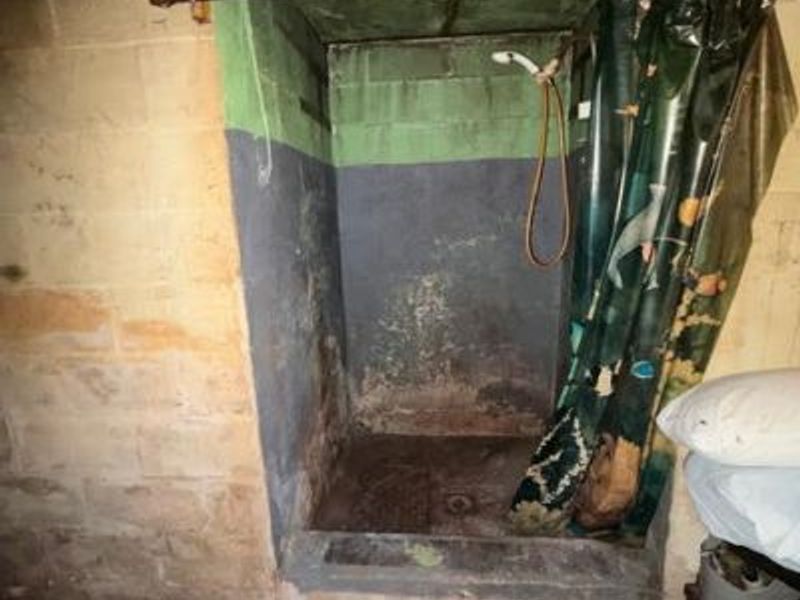 4749 Eagle Creek Road, Leavittsburg, OH 44430 Photo 19