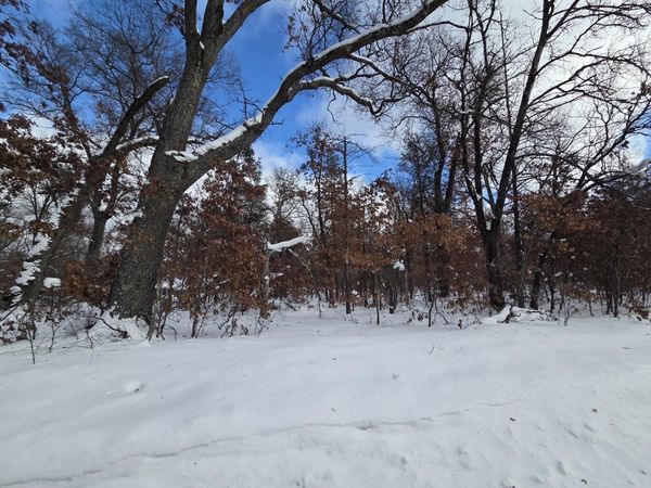 V/L S Harvard Ave., Baldwin, MI 49304