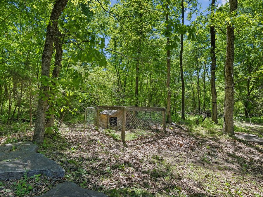 Property Image 45