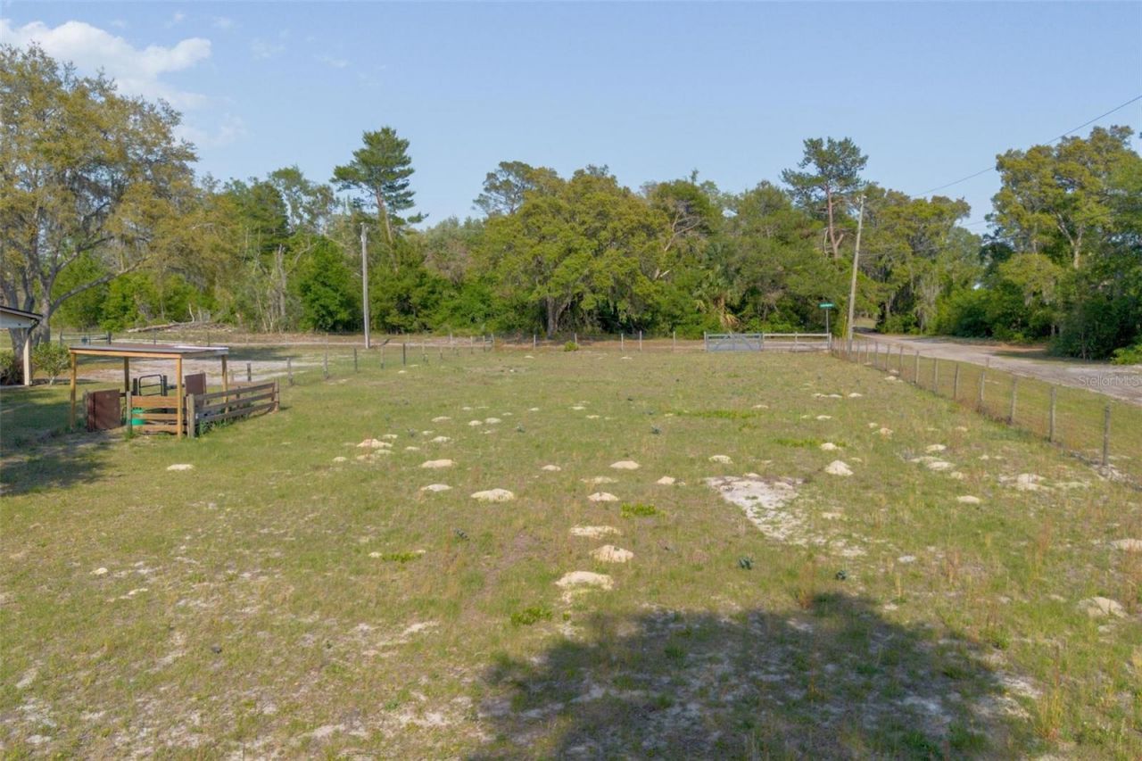 5410 Deleon Springs Ranch Road, De Leon Springs, FL 32130 Photo