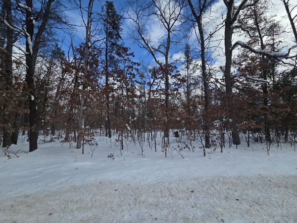 V/L S Astor Rd., Baldwin, MI 49304