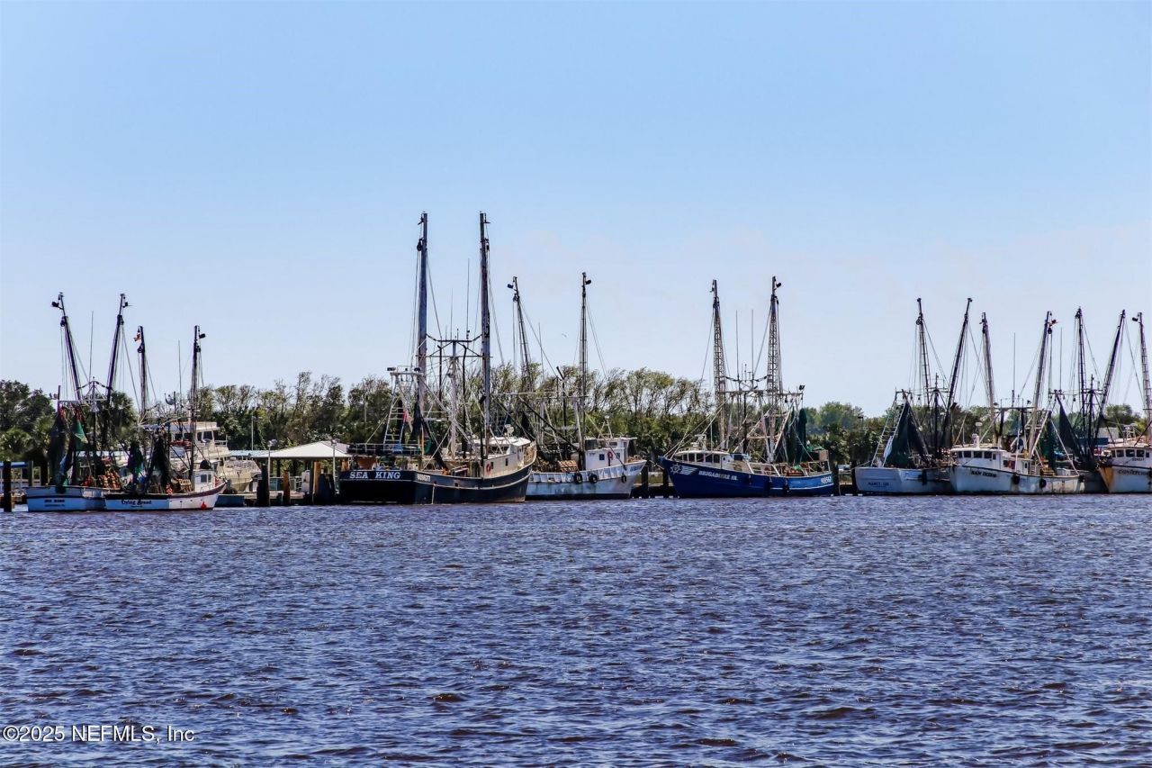 9383 Hidden Marsh Court, Jacksonville, FL 32226 Photo