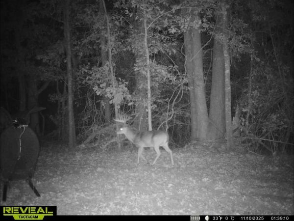 0 Morton-Rankin County Line Road, Morton, MS 39117