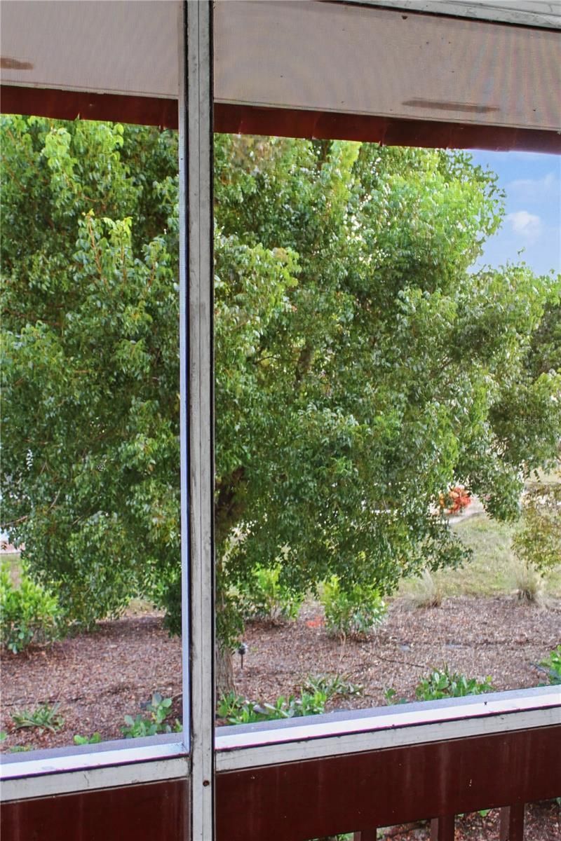 311 Garvin Street, Unit 409C, Punta Gorda, FL 33950 Photo