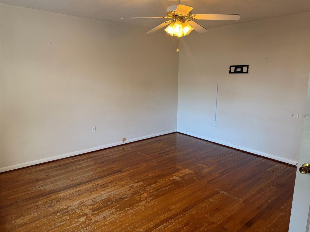 5335 6th Street, Zephyrhills, FL 33542 Photo