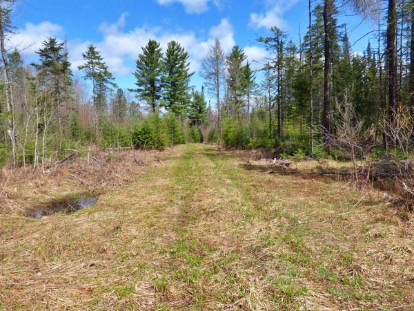 Spar Hawk Road, Wheelock, VT 05851