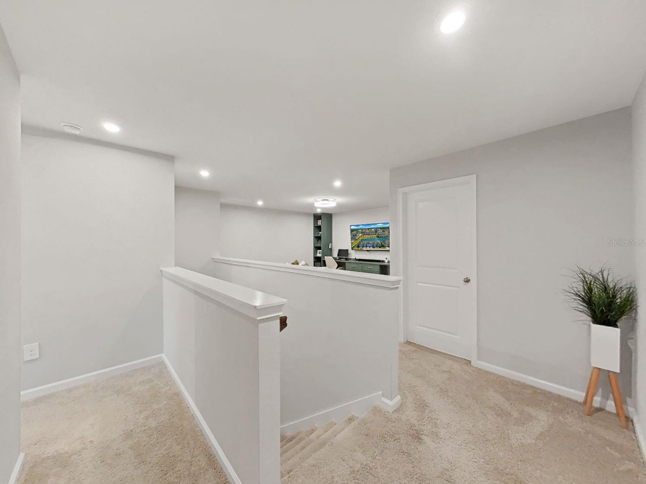 4104 Snail Cork Place, Lutz, FL 33559 Photo