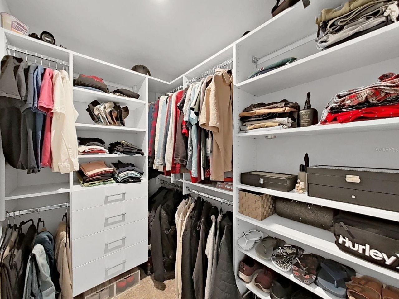 4104 Snail Cork Place, Lutz, FL 33559 Photo