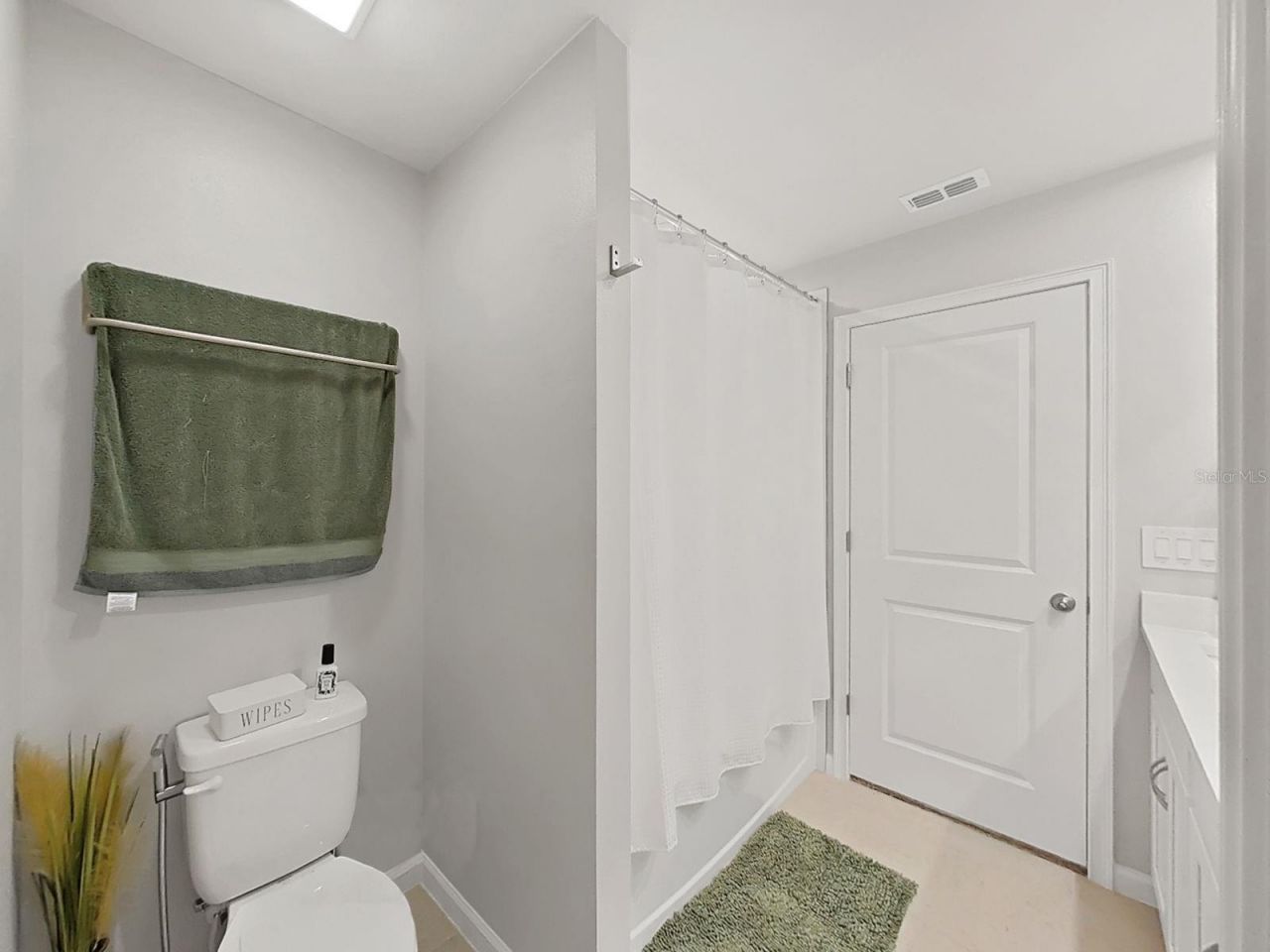 4104 Snail Cork Place, Lutz, FL 33559 Photo