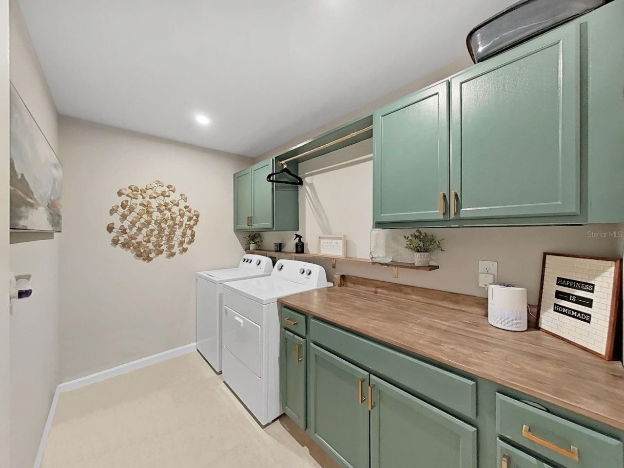 4104 Snail Cork Place, Lutz, FL 33559 Photo