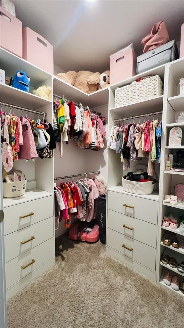 4104 Snail Cork Place, Lutz, FL 33559 Photo