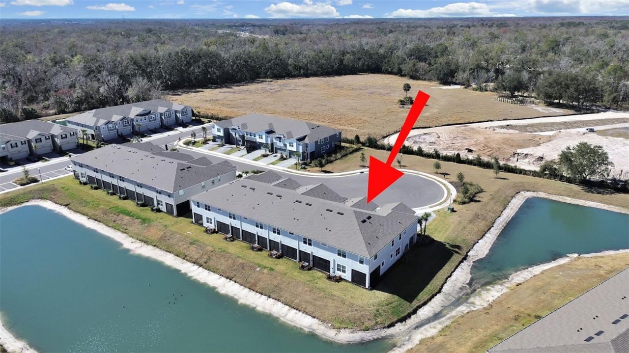 4104 Snail Cork Place, Lutz, FL 33559 Photo