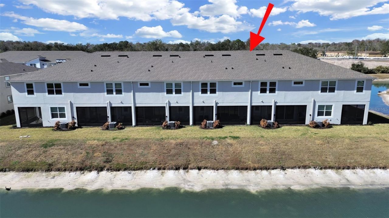 4104 Snail Cork Place, Lutz, FL 33559 Photo