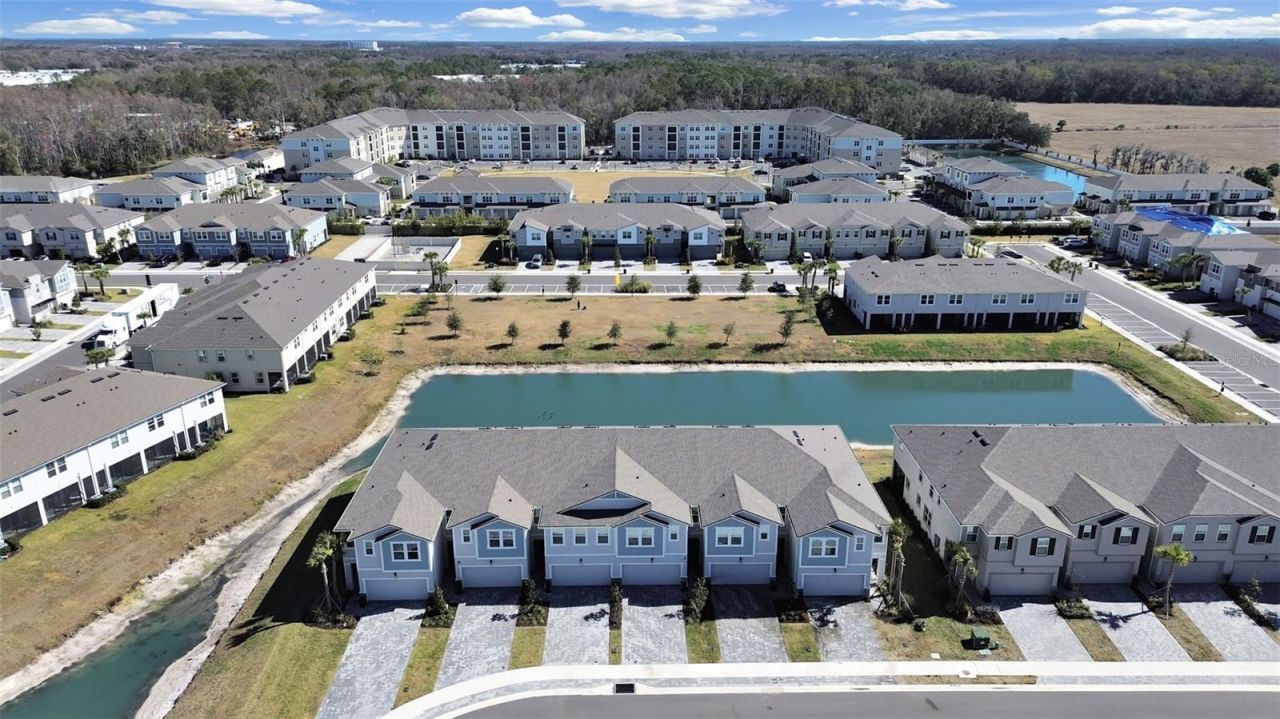 4104 Snail Cork Place, Lutz, FL 33559 Photo