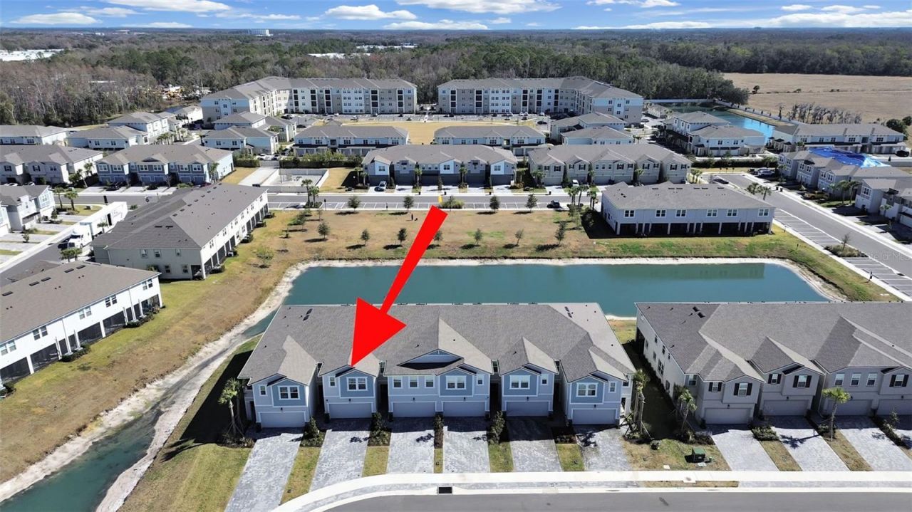 4104 Snail Cork Place, Lutz, FL 33559 Photo