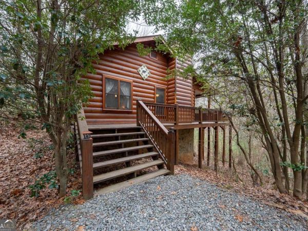 1165 Little Bushy Head Road, Unit 220, Blue Ridge, GA 30513
