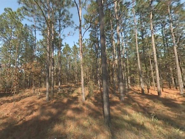 00 SW 39TH STREET, DUNNELLON, FL 34432