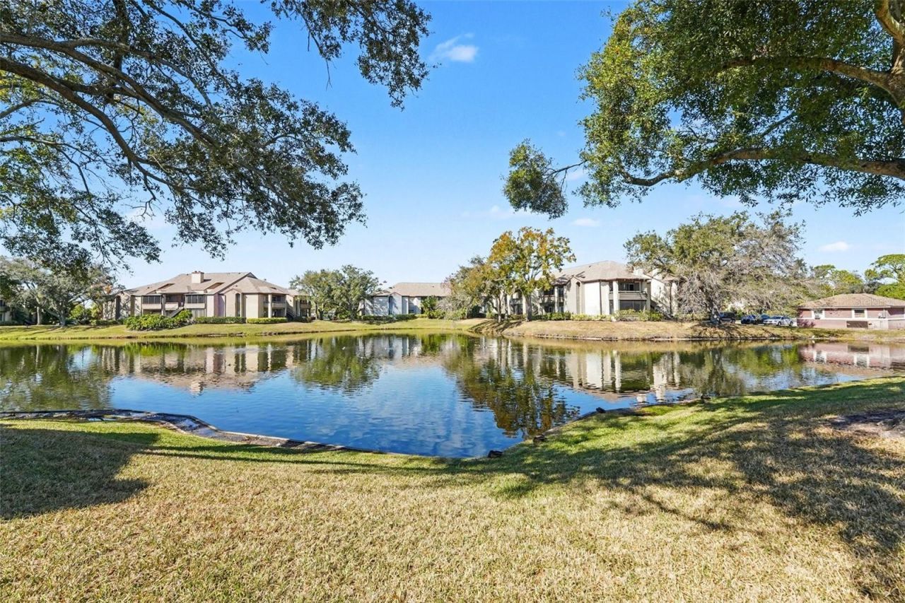 10265 Gandy Boulevard N, Unit 1202, Saint Petersburg, FL 33702 Photo