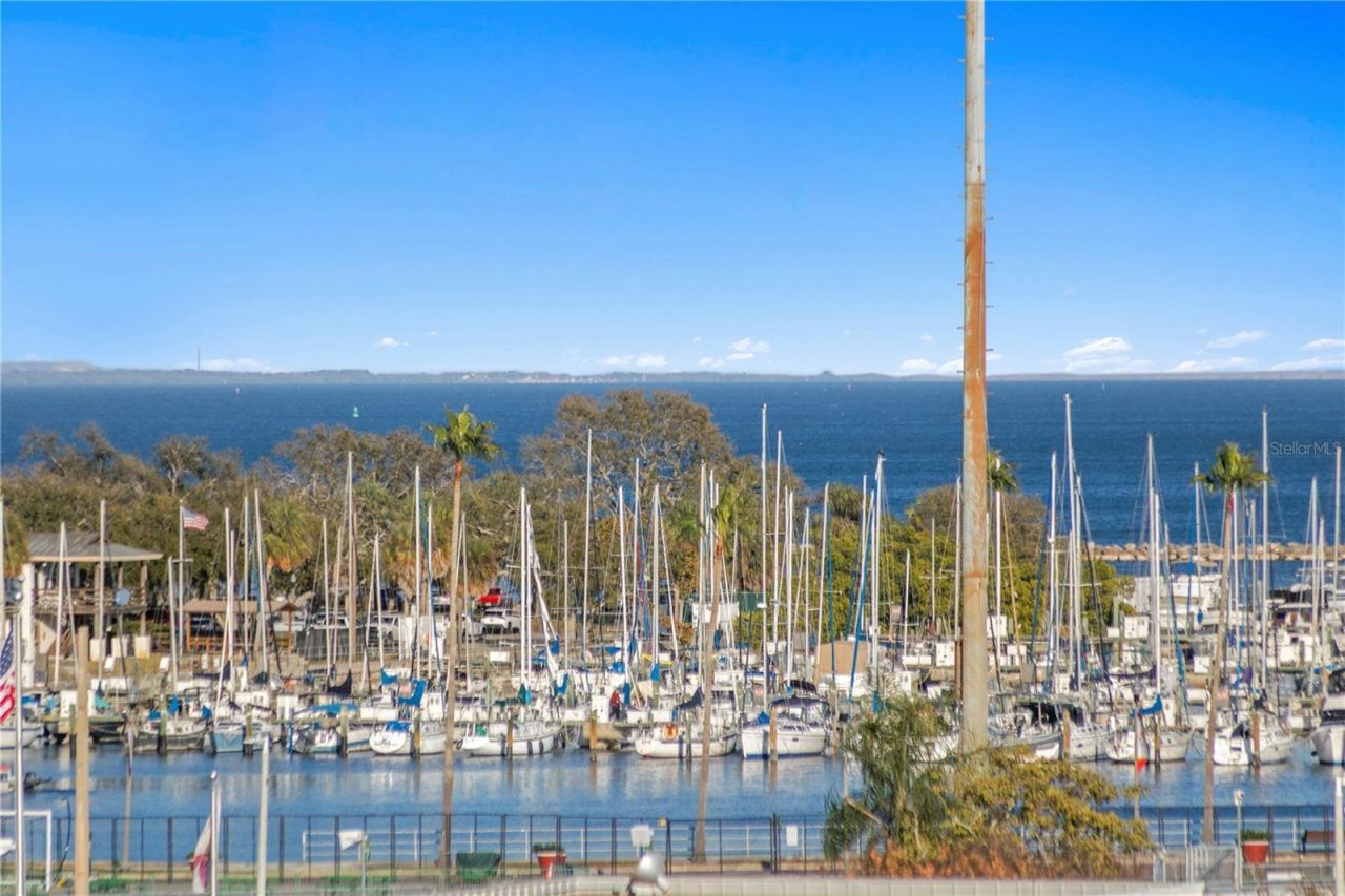 200 4th Avenue S, Unit 401, Saint Petersburg, FL 33701 Photo