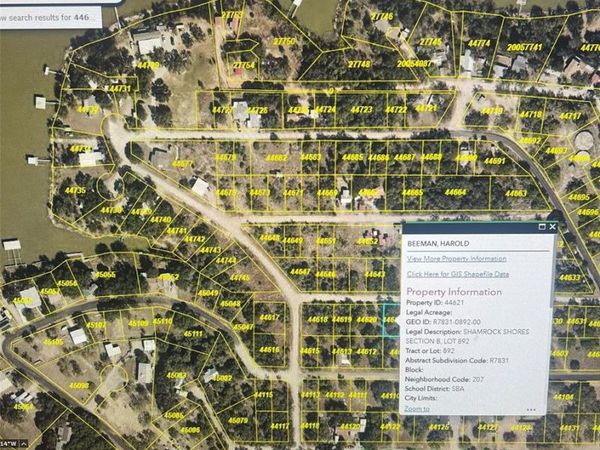 TBD Lough Lee Dr, Brownwood, TX 76801