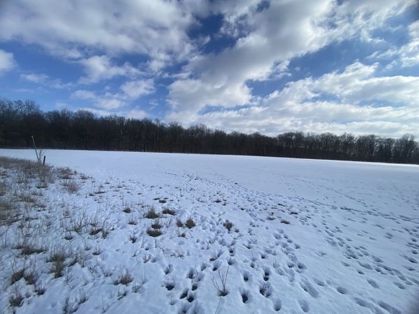 000 Highway 14 East Highway, Macedonia, IL 62860