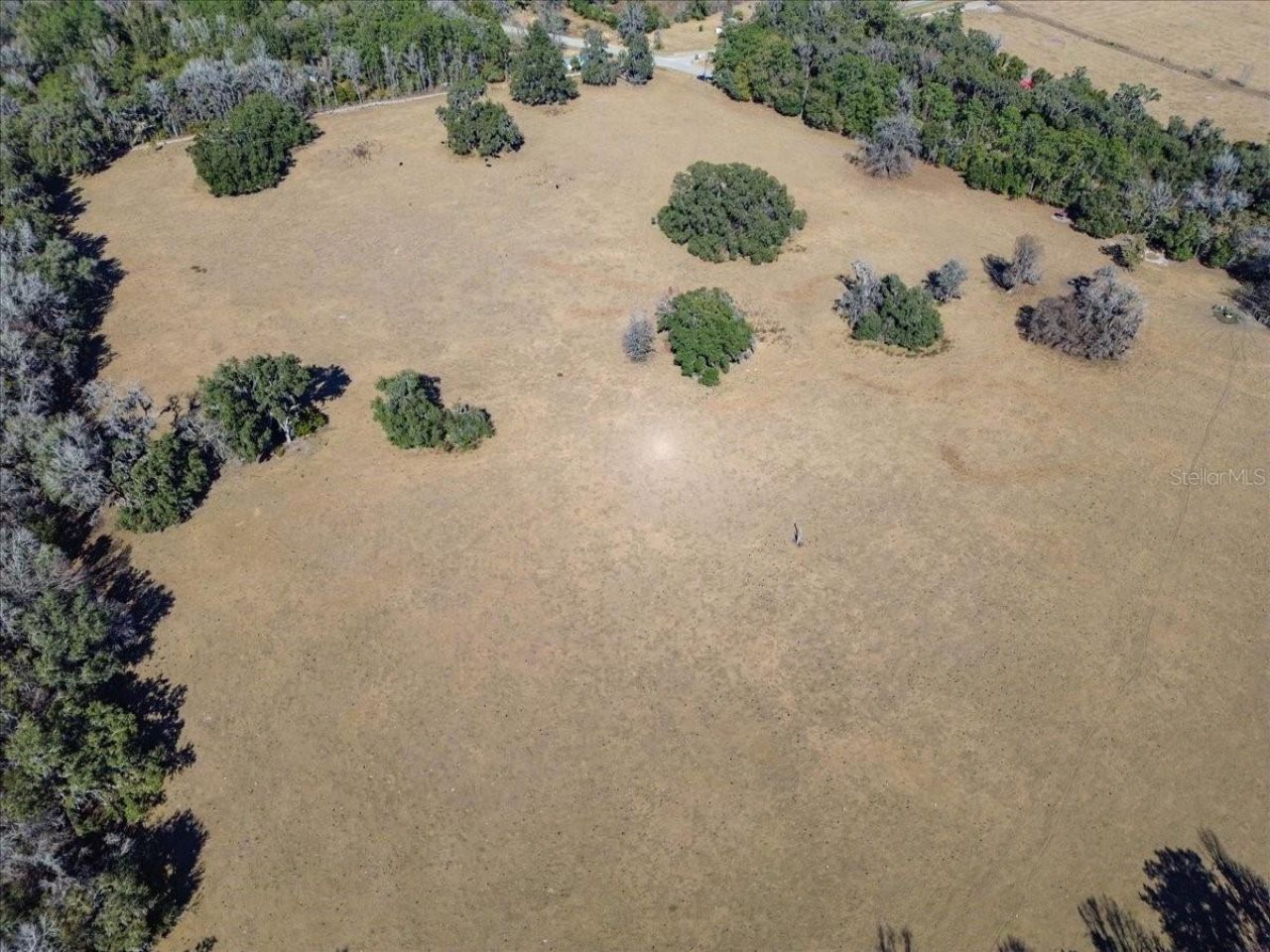 Tbd Hwy 329, Micanopy, FL 32667 Photo