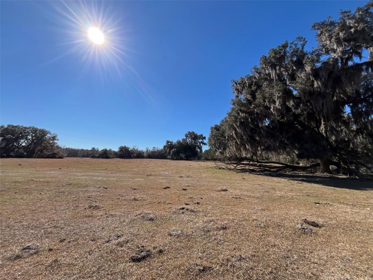 Tbd Hwy 329, Micanopy, FL 32667 Photo