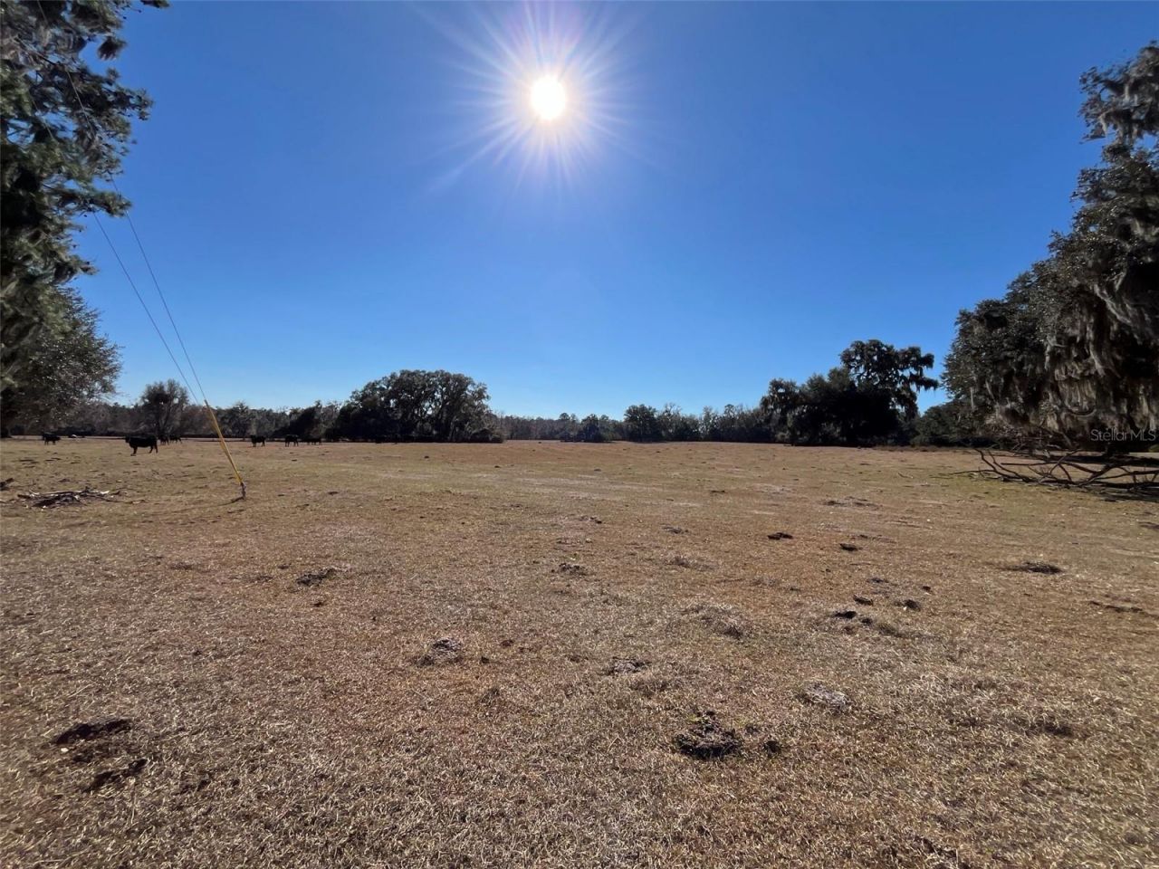 Tbd Hwy 329, Micanopy, FL 32667 Photo